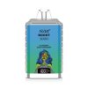R&M Boost 15K Disposable Vape - 15000 Puffs, Fruit Flavors, LED Display, CE Certified