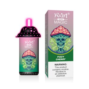 R&M Magic 9000 Einweg-Vape mit RGB-Licht, 2%/5% Nikotin, 9000 Züge, Typ-C wiederaufladbar, Fruchtaromen