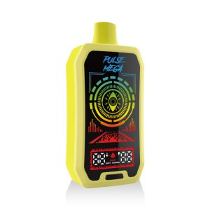 R&M USA Disposable Vape Box 25000 Puffs, Dual Mesh Coil, 2% 5% Nicotine, Fruit Flavors, Wholesale OEM