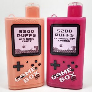 Randm 5200 Puffs Disposable Vape Pen - Wholesale EGO Vape, FDA Certified, Custom Logo, Fruit Flavors