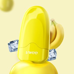 Shenzhen 600 Puff Disposable Electric Vape Raft#R065, Fruit Flavors, Low Nicotine, OEM Logo & Custom Colors