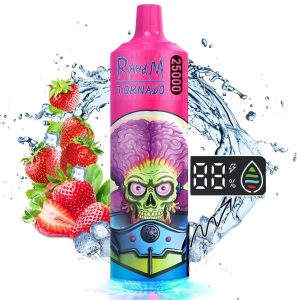 Shenzhen Wholesale Rahdm Tornado 25K Puffs Disposable Vape E-cigarette, FDA Certified, Fruit Flavors