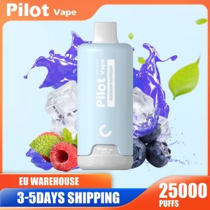Top Quality EU Warehouse Disposable Elf Waka Randm 25K Puff 12000 15000 18000 18K 20000 25000 Puffs Bar Pilot Vape Pod 25000 Puff Vape Hot Sale in France