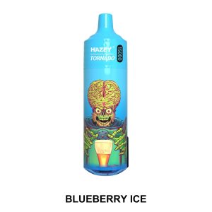 Vaper Bang King A40 15000 Puff Disposable Vape Pen - Fruit Flavors, Leak Proof, Smooth Vapor, OEM Custom