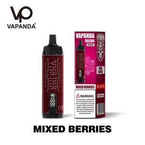 VP Shisha 20000 Puff Disposable E-Cigarette - Fruit Flavors, 29ml, 2mg/5mg Nicotine, Savage Vape