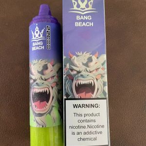 Großhandel Bang 22000 Puff Einweg Vape Pen - EGO, FDA-zertifiziert, Obst-Aromen, niedrige Nikotin