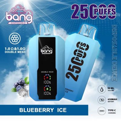 Wholesale Bang 25000 Disposable Vape Pen, 18000-25000 Puffs, Fruit Flavors, Fast Shipping