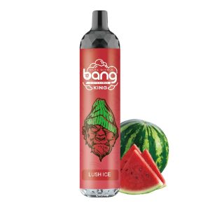 Wholesale Bang King Rechargeable Vape - 6000 Puffs, 14ml, Multiple Flavors, Nicotine Salt, Type-C Charging