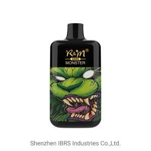 Wholesale R&M Monster 6K Disposable Vape Pen 6000 Puffs, 0/2/3/5% Nicotine, Fruit Flavors, OEM Available